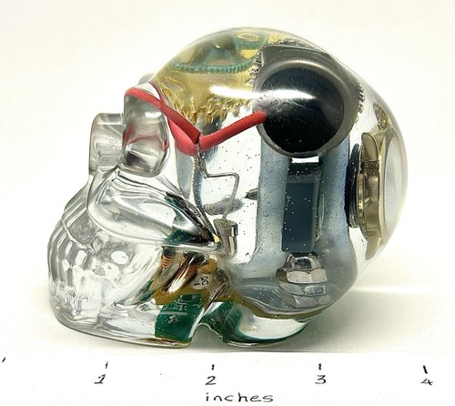 Resin skull with electronic - resin,